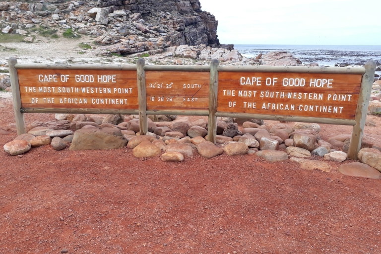 Cabo de Buena Esperanza: recorrido turístico y pingüinos africanos