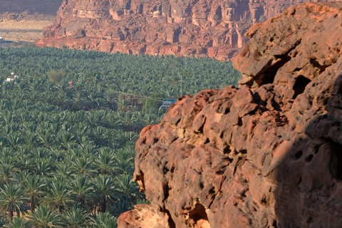 AlUla: Ancient Wonders &amp; City Tour with Lunch