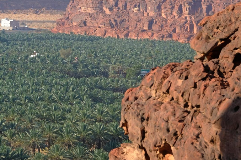 AlUla: Ancient Wonders &amp; City Tour with Lunch