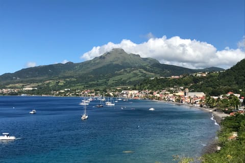 Martinique: Guided Panoramic Shore-Excursion Tour