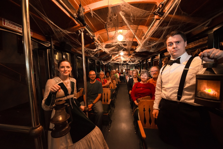Savannah: Ghost Town Trolley Tour
