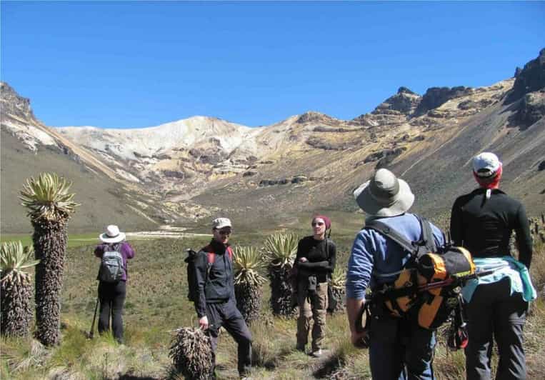 nevados shoes wikipedia