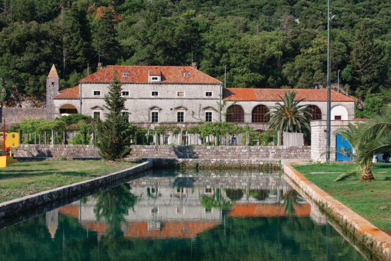 Dubrovnik: privé kookervaring met wijnproeverij