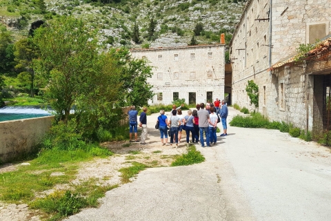 Dubrovnik: Experiencia culinaria privada con cata de vinos