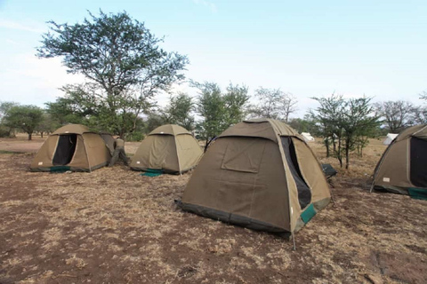 Serengeti and Ngorongoro: 2-Night 3-Day Camping Safari Group Tour with Lodge Accommodation