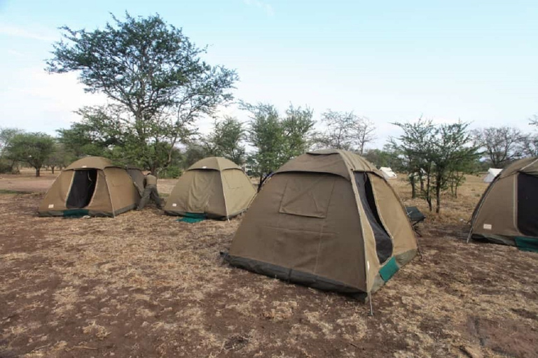 Serengeti en Ngorongoro: 2-daagse 3-daagse kampeersafariGroepstour met logiesaccommodatie