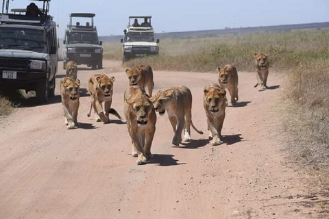 Serengeti and Ngorongoro: 2-Night 3-Day Camping Safari Group Tour with Lodge Accommodation