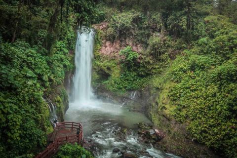 San José: La Paz Waterfall Gardens Half-Day Tour