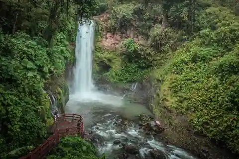 San José: Halvdagsutflykt till La Paz Waterfall Gardens