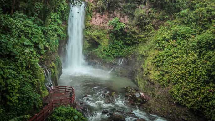 san josé la paz waterfall gardens halfday tour