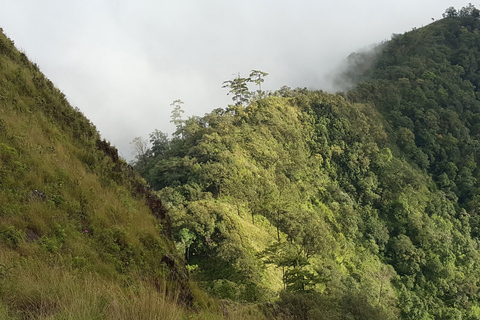 Chiang Mai: całodniowa piesza wycieczka Trailhead