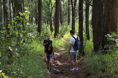 Chiang Mai: całodniowa piesza wycieczka Trailhead