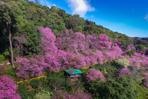 Chiang Mai: całodniowa piesza wycieczka Trailhead