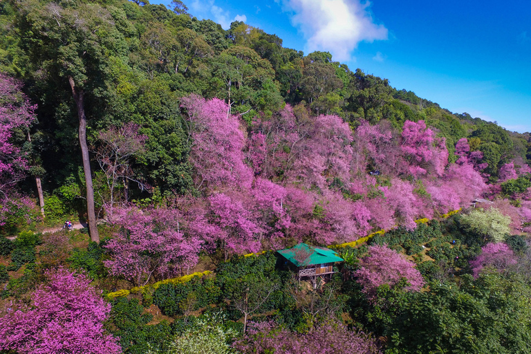 Chiang Mai: całodniowa piesza wycieczka Trailhead