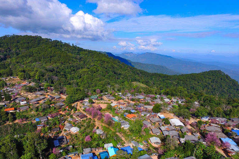 Chiang Mai: całodniowa piesza wycieczka Trailhead