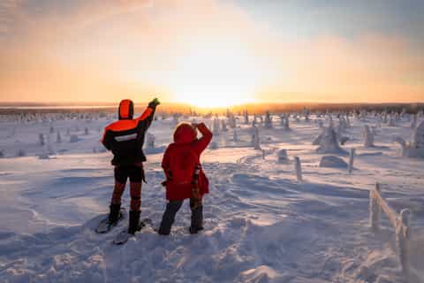 Rovaniemi: Riisitunturi National Park Hiking Tour
