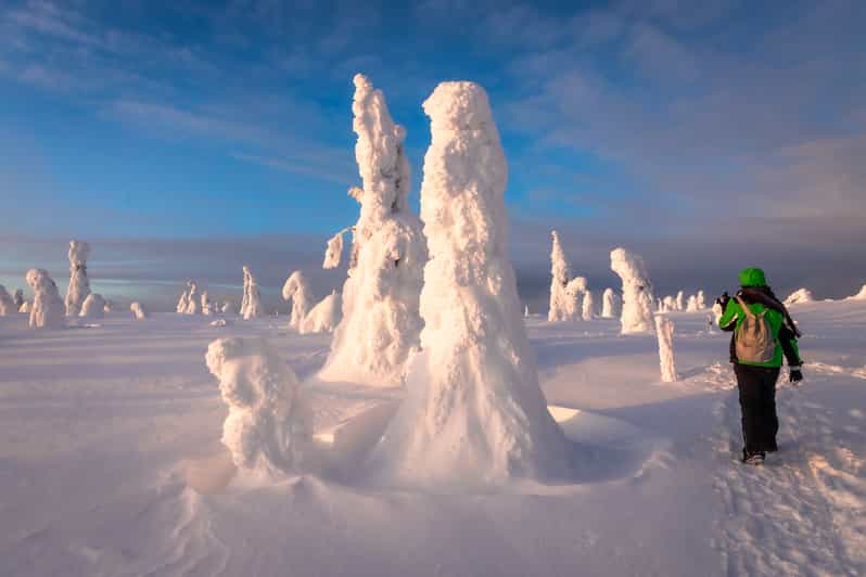 Ab Rovaniemi Wandertour im RiisitunturiNationalpark GetYourGuide