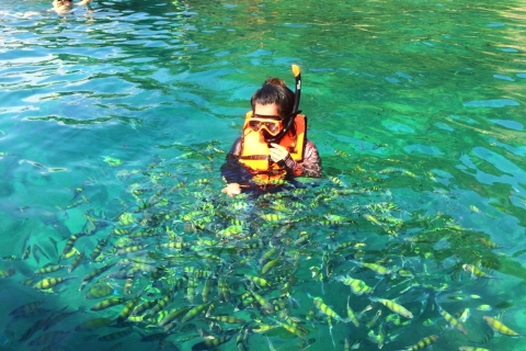 Krabi : croisière et snorkeling sur 4 îlesVisite en longtail - Transfert depuis Klong Muang & Krabi