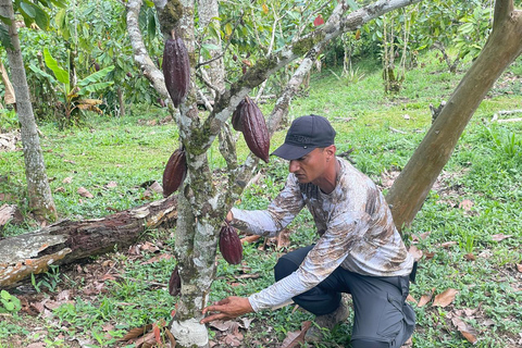 MEDELLÍN: SCHOKOLADENTOUR &amp; PEELING IM SCHÖNEN FLUSS!Medellín: Private Führung durch die Kakao-Farm