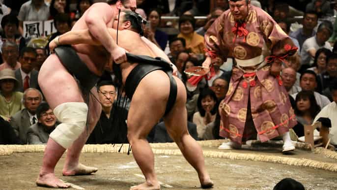 tokyo smallgroup grand sumo tournament viewing