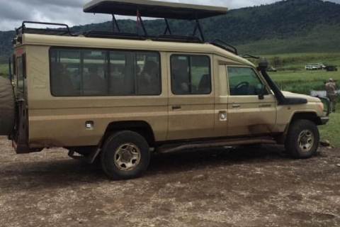 Van Arusha: Tarangire en Ngorongoro Crater Camping Safari