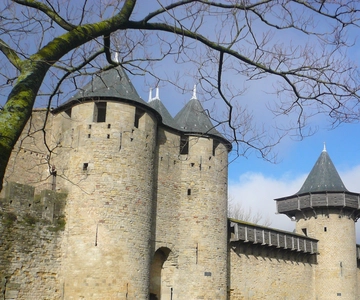 Carcassonne: Fortress Walking Tour
