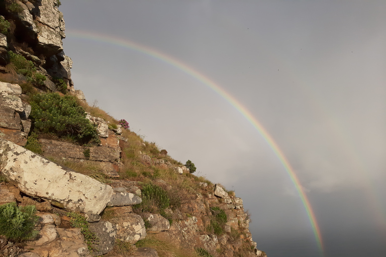 Cape Town: Lion's Head Sunrise or Sunset Hike Sunrise or Sunset Hike with Drop-Off