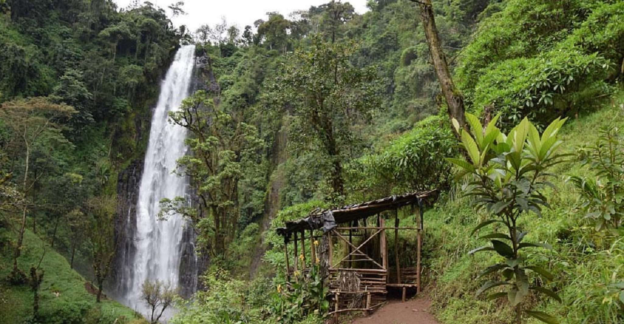 Arusha, Materuni Waterfalls, Café et Hotsprings Tour - Hizvo