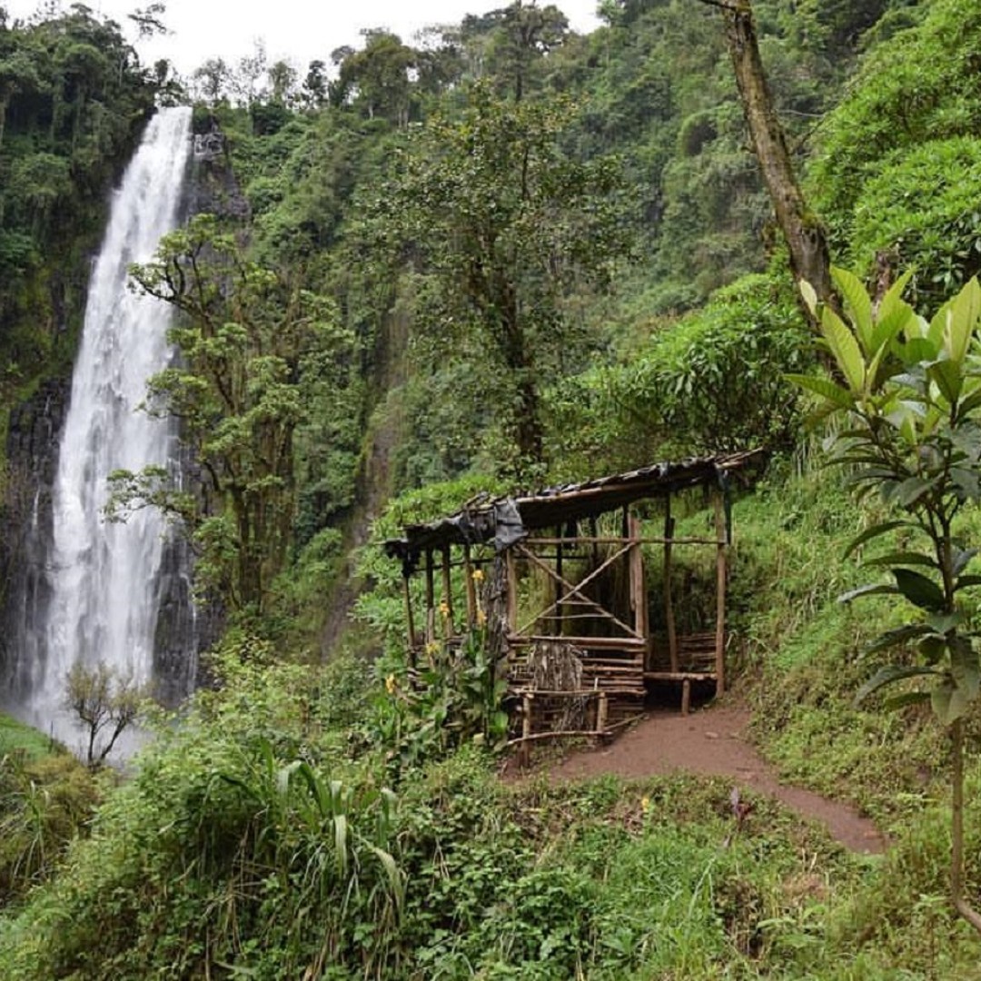 Colagem de mídia