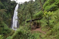 Arusha, Materuni Wasserfälle, Kaffee und Hotsprings Tour - Hizvo