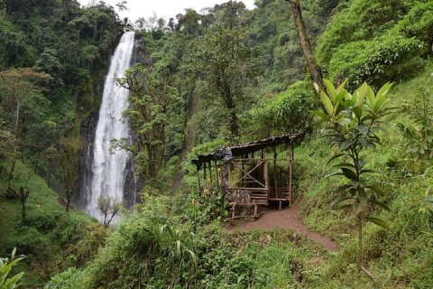 Arusha: Materuni-watervallen, koffie en warmwaterbronnen Tour