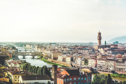 Desde Roma: Excursión de un día a Florencia y PisaOpción sin Audioguía