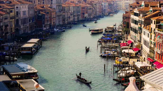 venice walking art tour