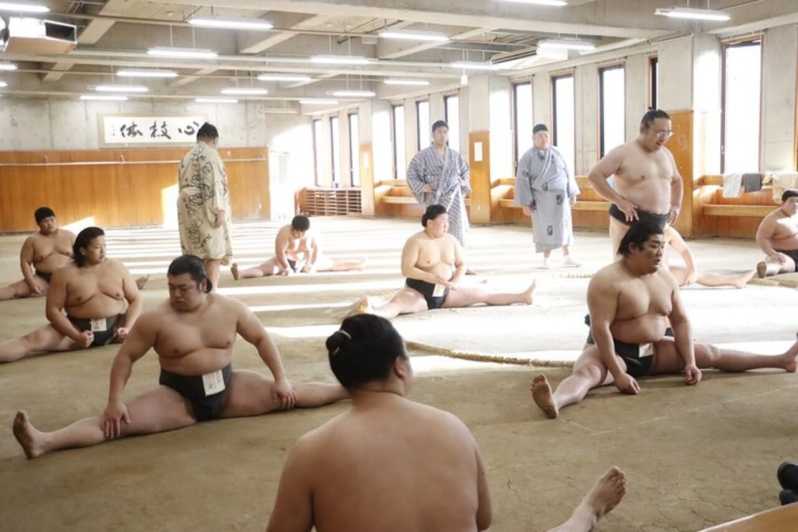 Токио: опыт школы сумо со стабильным мастером и борцом