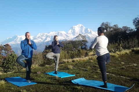 Kathmandu: 9-tägiger Ghorepani Poon Hill Yoga Trek