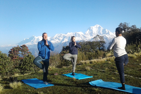 Katmandou: Trek de yoga de 9 jours à Ghorepani Poon Hill