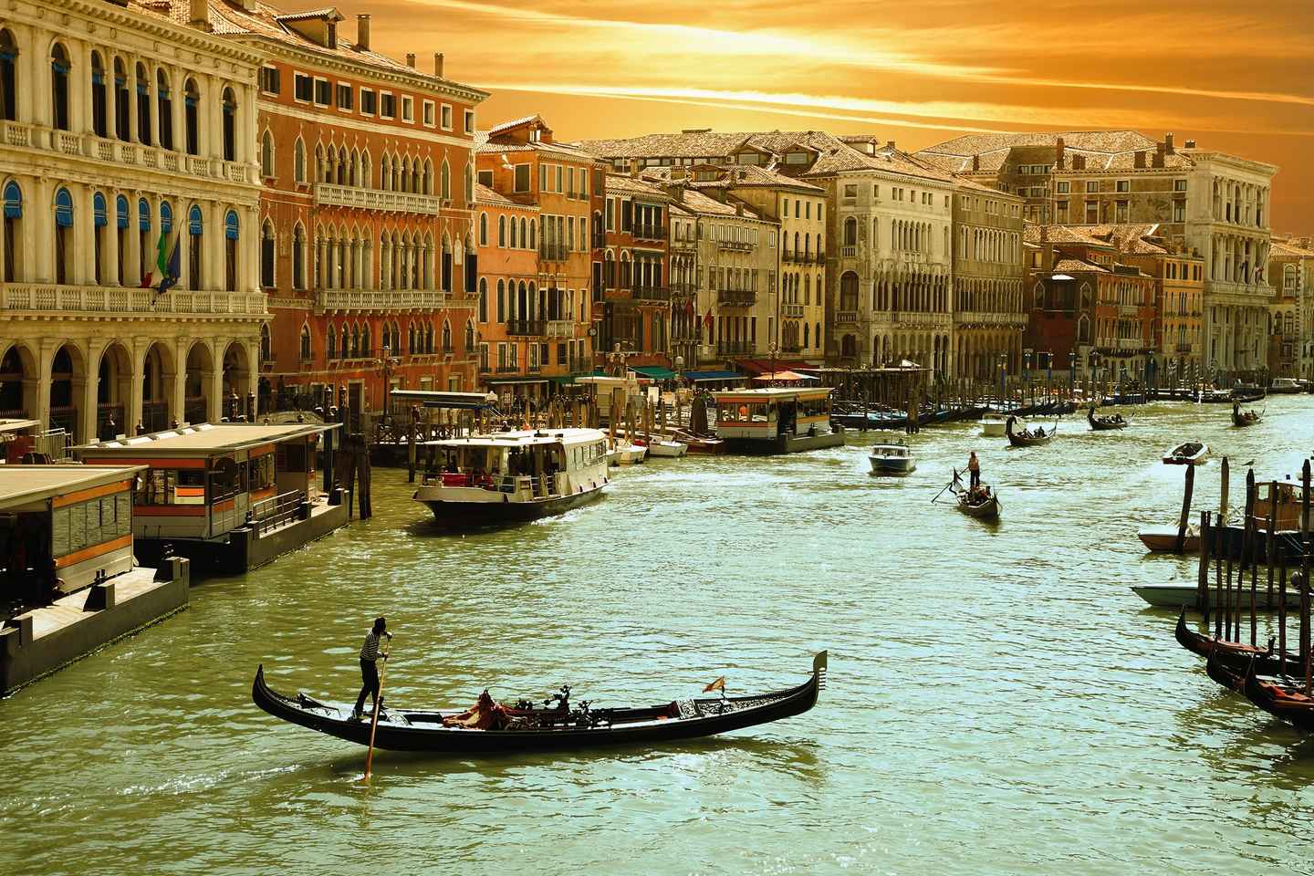 Venice: Murano, Burano, and Torcello Islands Private Tour - Venice: St. Mark's, Doge's Palace, and Venetian Islands Tour
