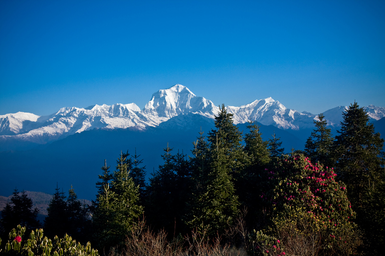 Kathmandu: 9-tägiger Ghorepani Poon Hill Yoga Trek