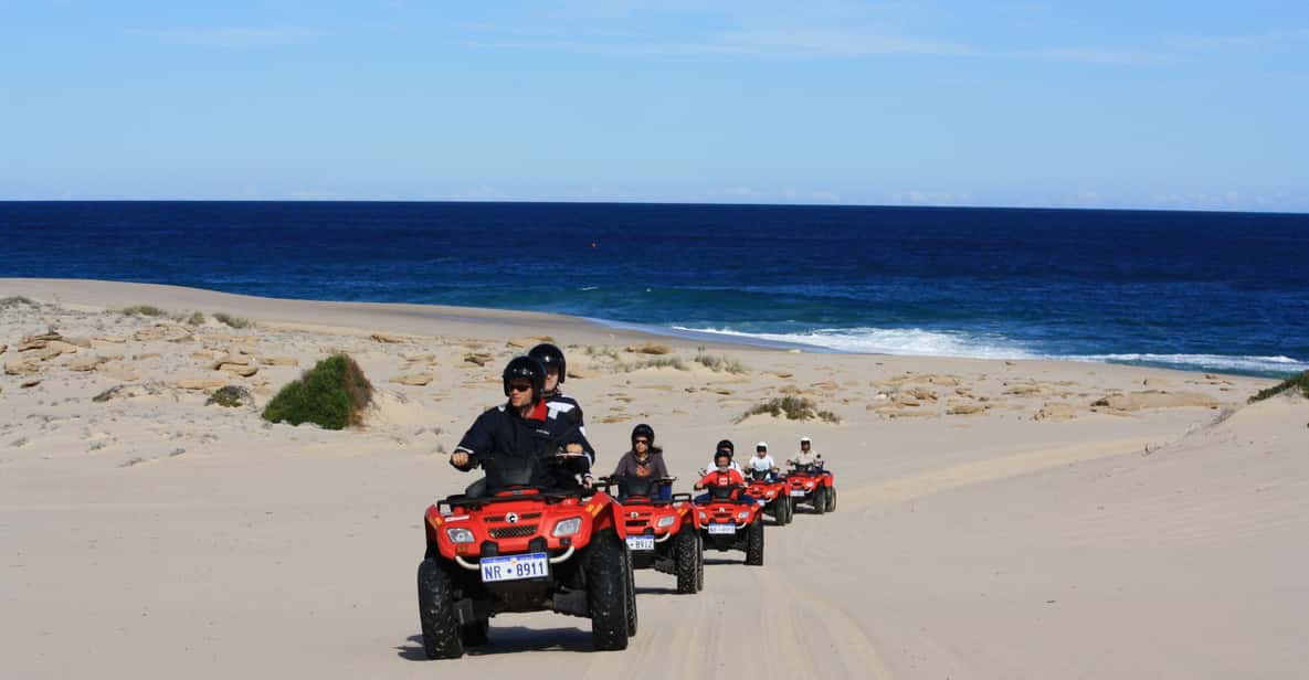 Hurghada: Sunrise or Sunset Quad and Buggy Coastal Tour