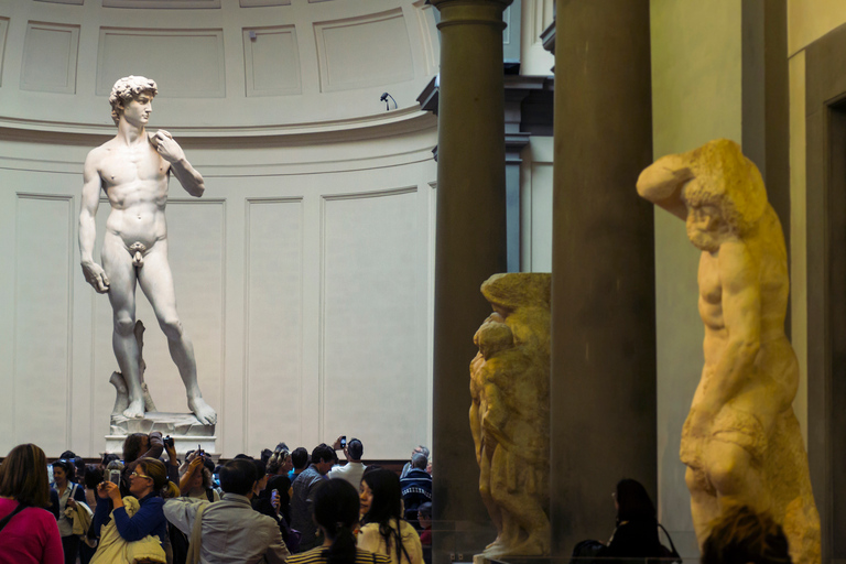 Florença: Tour VIP de David na Accademia e nos terraços do Duomo