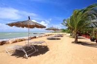 De Dakar ou Saly, Tour de meio dia até Ngor Island - Housity