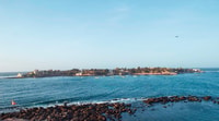 De Dakar ou Saly, Tour de meio dia até Ngor Island - Housity