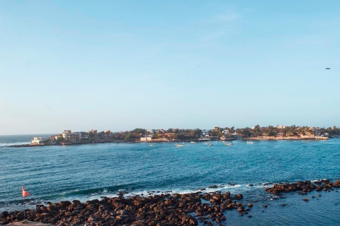 Van Dakar of Saly: tour van een halve dag naar het eiland NgorVan Dakar
