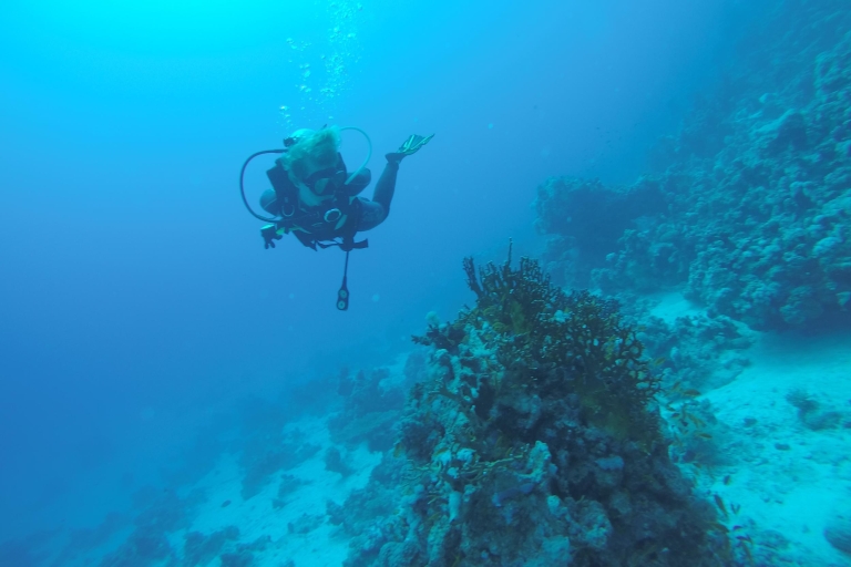 From Hurghada: Shore Diving with Hotel Transfers From El Gouna: Shore Diving