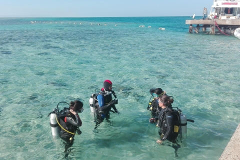 Depuis Hurghada: plongée à terre avec transferts depuis l'hôtelDe Sahl Hasheesh: Plongée à terre