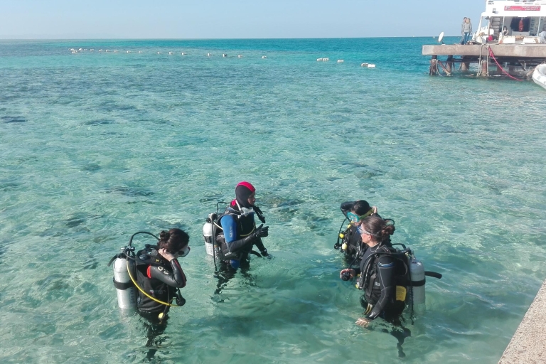 Desde Hurghada: buceo en tierra con traslados al hotelDesde Hurghada: buceo en tierra
