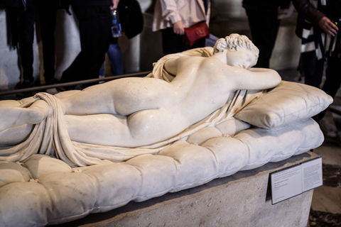 Paris: Skip-the-Line Louvre Highlights Tour with Mona Lisa