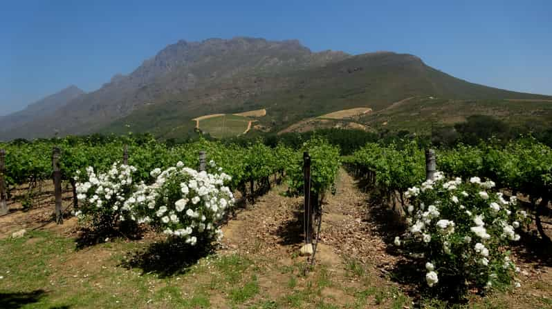 BESTE Touren In Privatautos Cape Winelands 2024 – KOSTENLOS Stornierbar ...