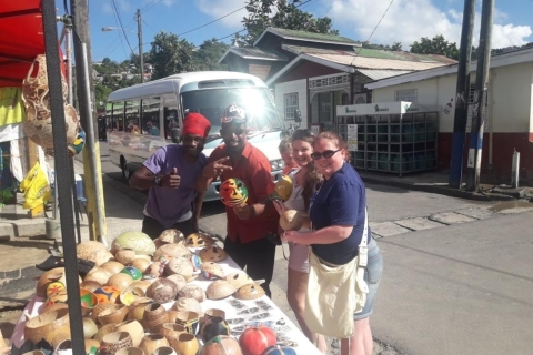 St. Lucia Island: Full-Day Exploration Tour vanuit Castries
