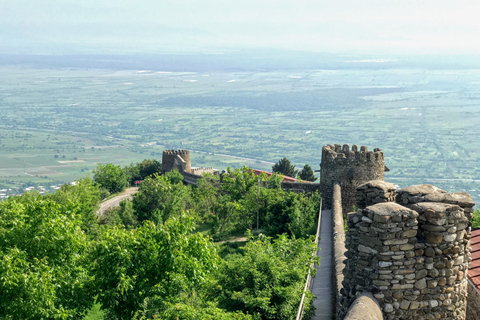 Tbilisi: Full-Day Kakheti &amp; Sighnaghi Tour with Wine TastingPrivate Tour with Hotel Pickup and Drop-off